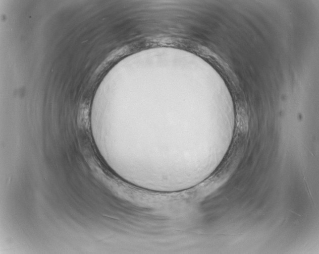 X0000085280036200704092218