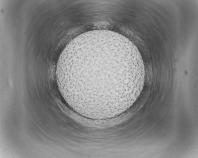 X0000085280038200704092218