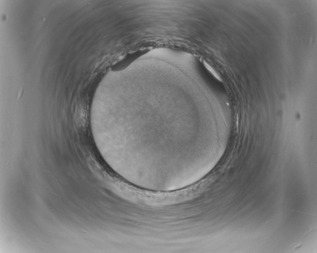 X0000085280039200704092218