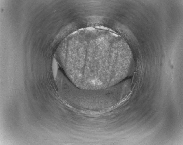 X0000085280041200704092218