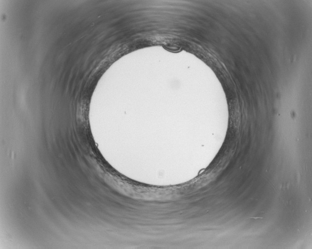 X0000085280044200704092217