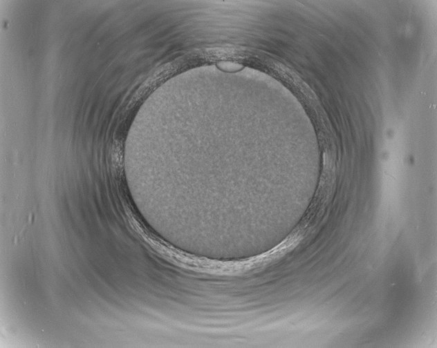 X0000085280048200704092217