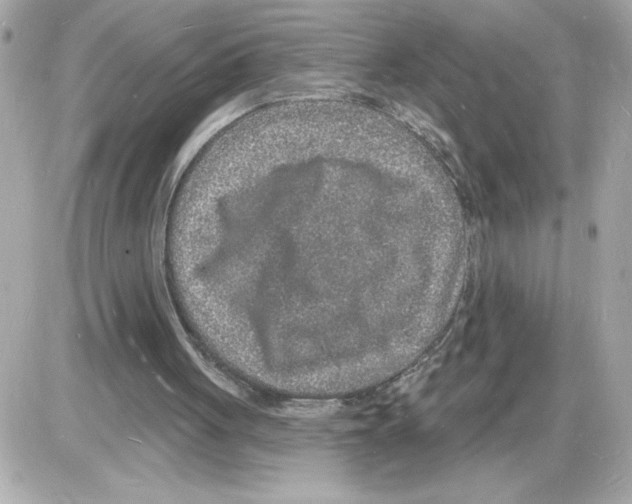 X0000085280051200704092217