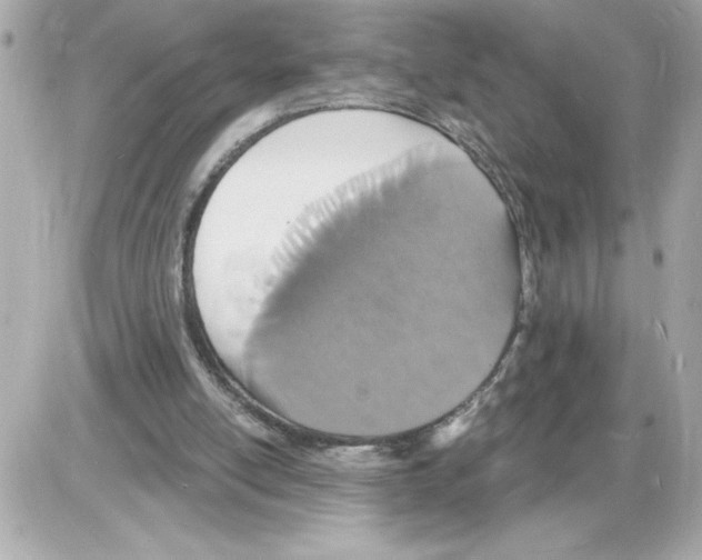 X0000085280054200704092217