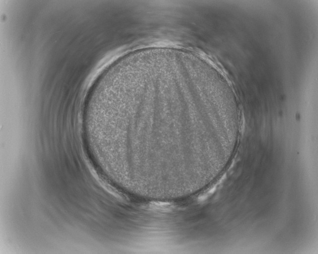 X0000085280055200704092217