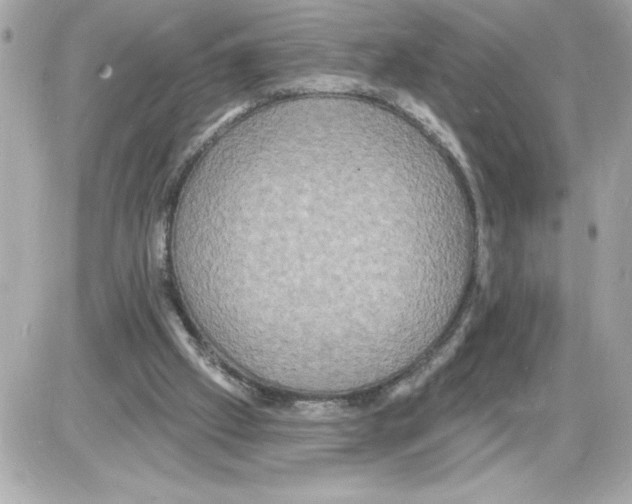 X0000085280057200704092217