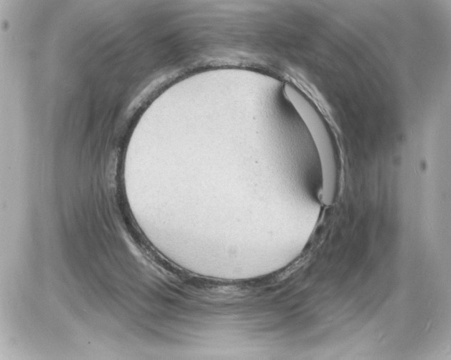 X0000085280058200704092217