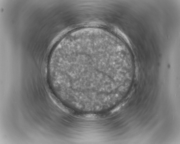 X0000085280059200704092217