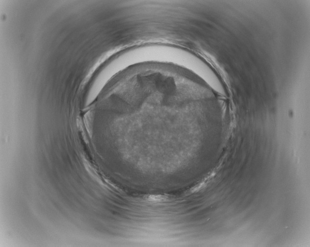 X0000085280060200704092217