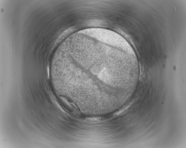 X0000085280061200704092217