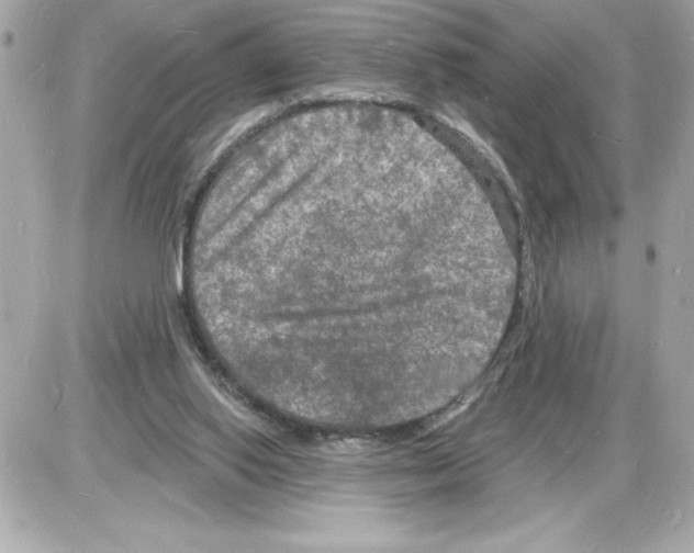 X0000085280062200704092217