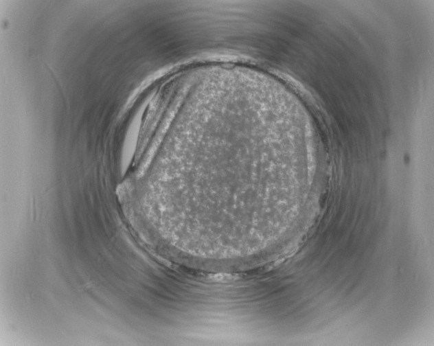 X0000085280064200704092217