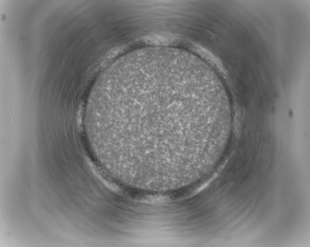 X0000085280065200704092217