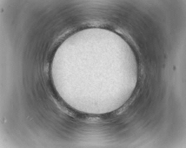 X0000085280066200704092217