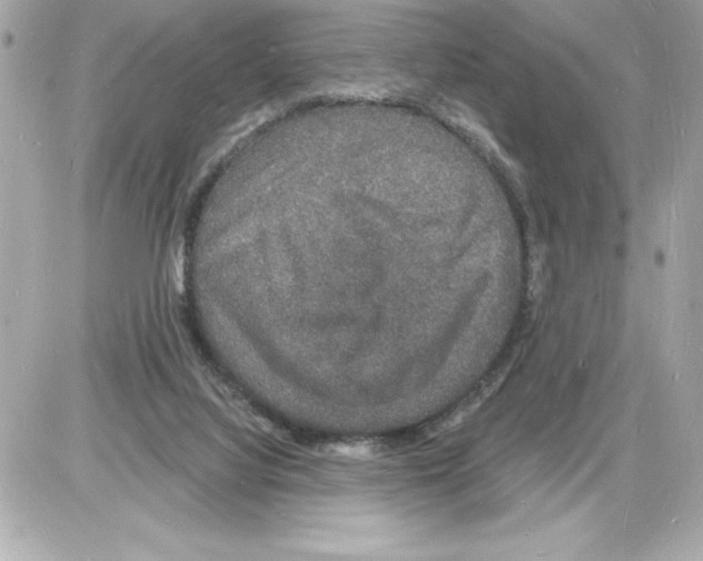 X0000085280068200704092217