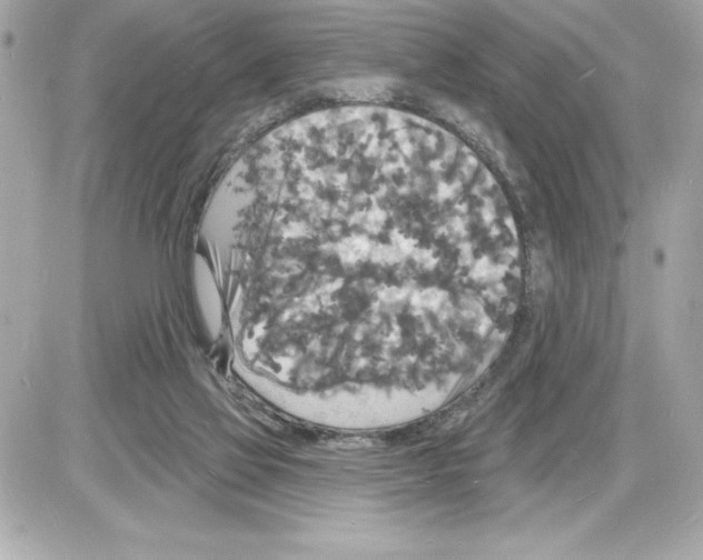 X0000085280069200704092217