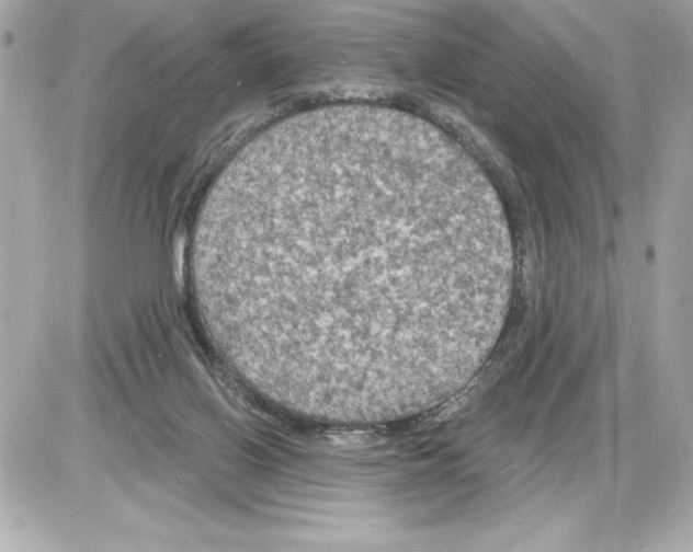 X0000085280070200704092217