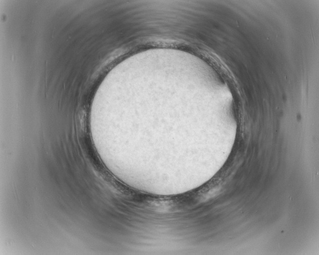 X0000085280071200704092217