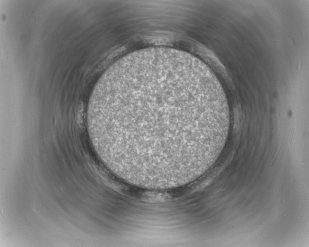 X0000085280073200704092217