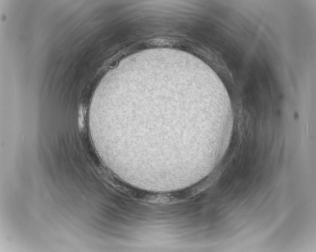 X0000085280075200704092217