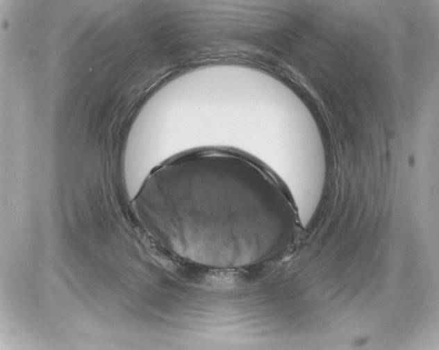 X0000085280076200704092217