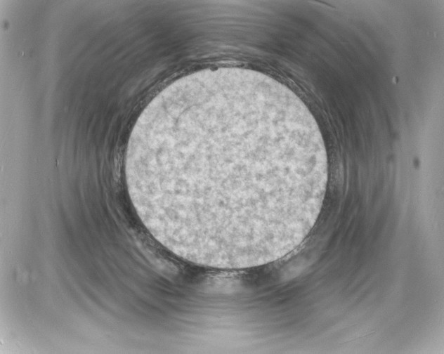 X0000085280078200704092217