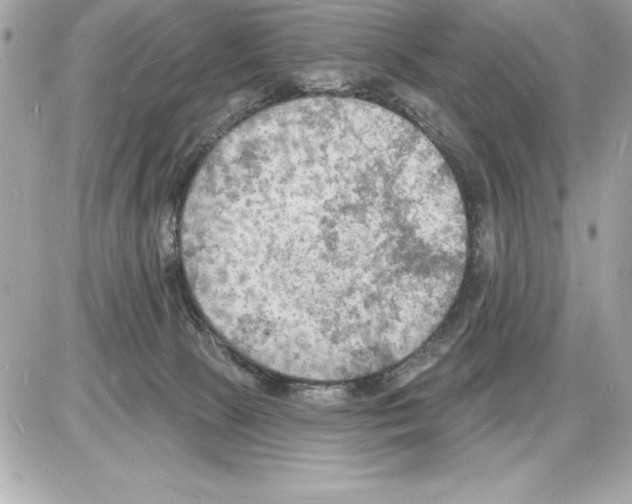 X0000085280081200704092217