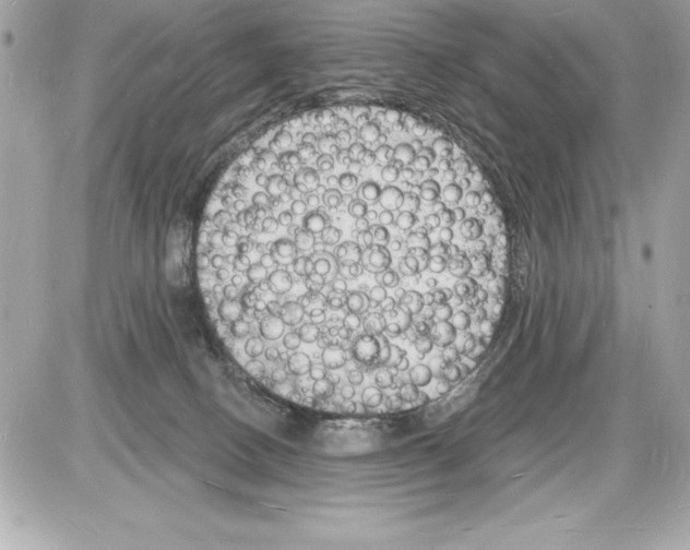 X0000085280082200704092217