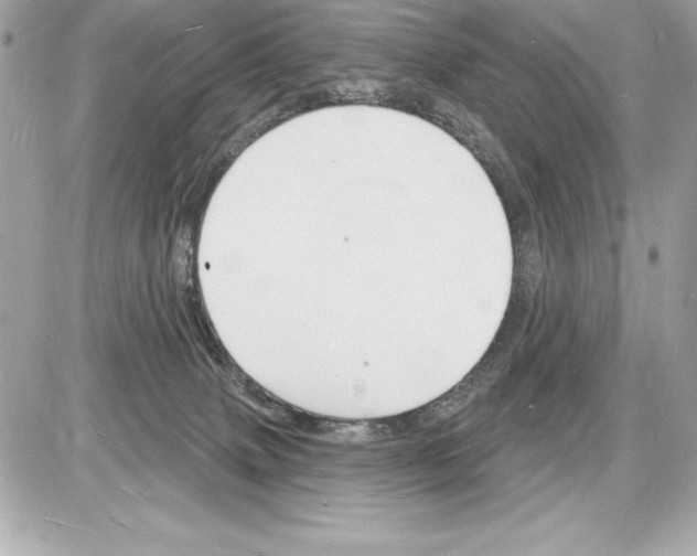 X0000085280083200704092217