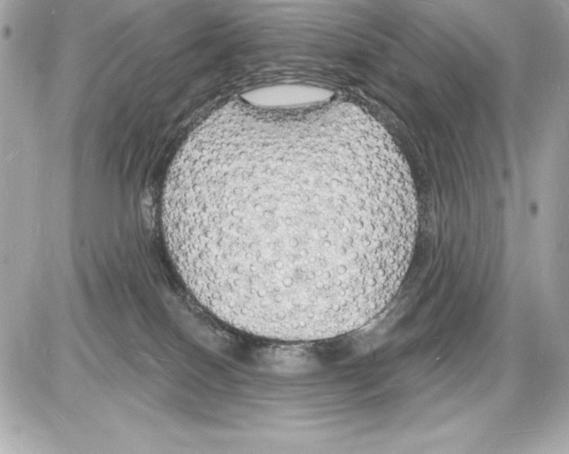 X0000085280086200704092217