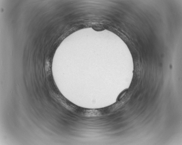 X0000085280087200704092217