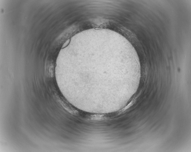 X0000085280090200704092217