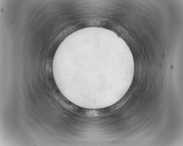 X0000085280091200704092217