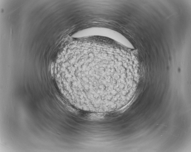 X0000085280094200704092217