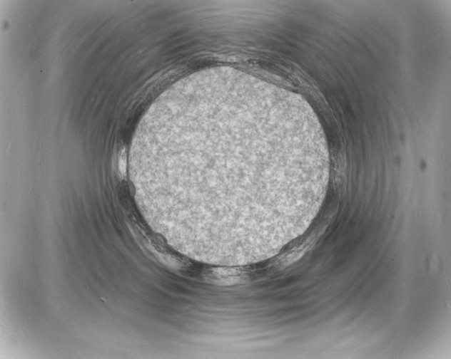 X0000085280095200704092217