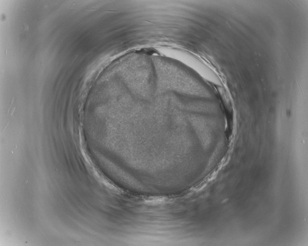 X0000085280097200704092217