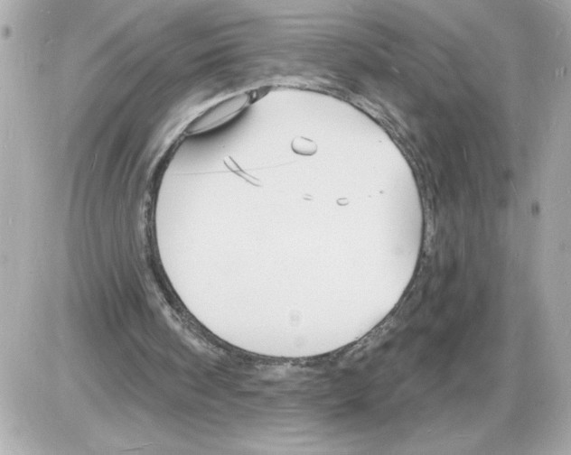 X0000085280098200704092217