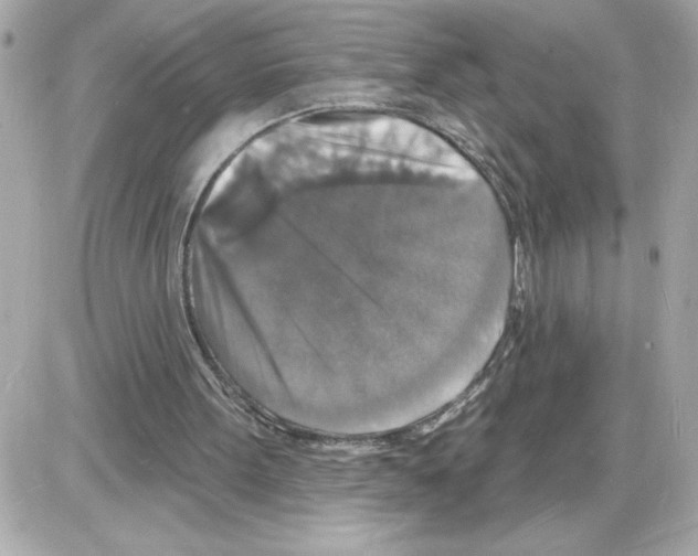 X0000085280099200704092217