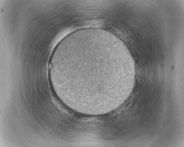 X0000085280100200704092217