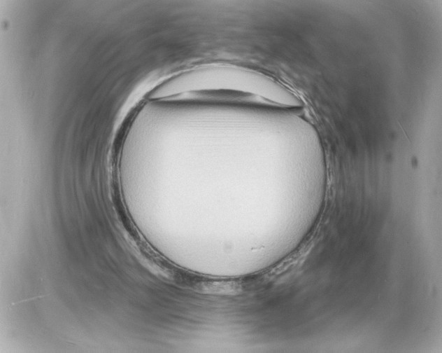 X0000085280102200704092217