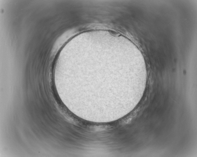 X0000085280103200704092217