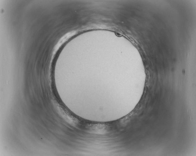 X0000085280104200704092217