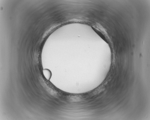 X0000085280106200704092216