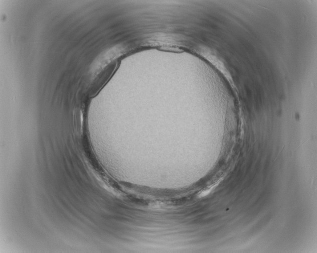 X0000085280109200704092216