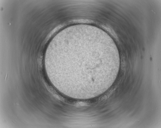 X0000085280111200704092216