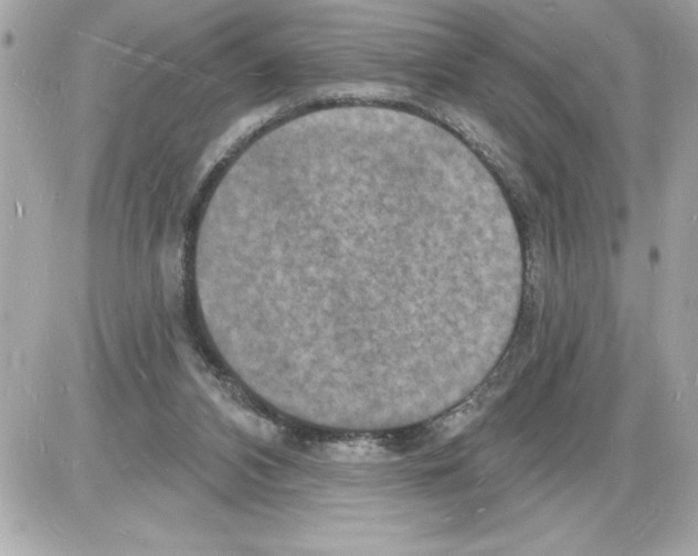 X0000085280112200704092216