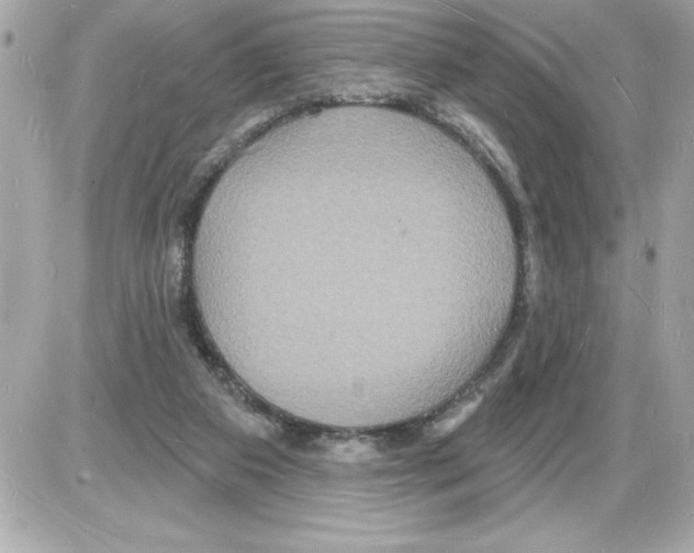 X0000085280113200704092216