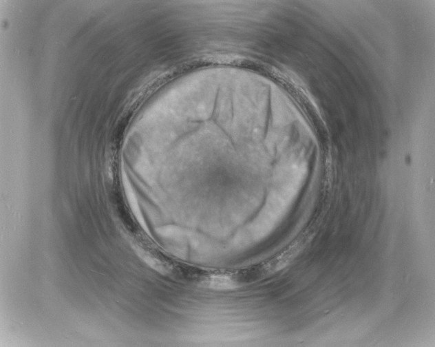 X0000085280114200704092216