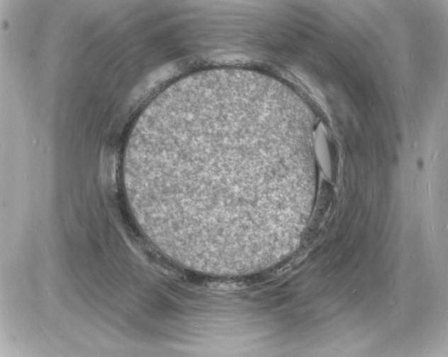 X0000085280115200704092216