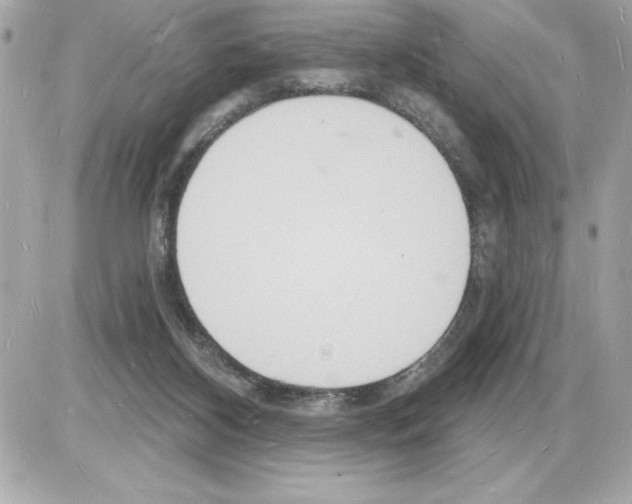 X0000085280116200704092216